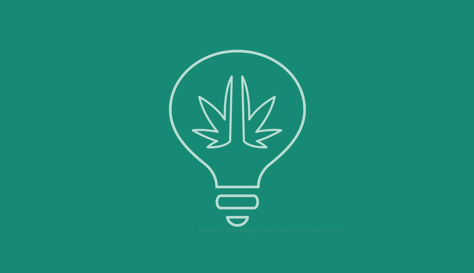 MMLG lightbulb and leaf symbol on a teal background.